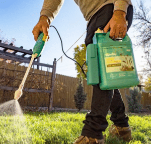 Understanding Weed Killer Sprays