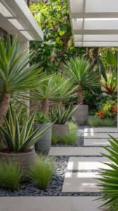 dracaena marginata, dracena dragon plant, dragon tree, dracena marginata, dracaena marginata plant, dracena marginata plant, madagascar dragon tree, dragon tree care, dracena dragon tree, care for a dragon tree, dracaena plant, dracaena marginata care, dracaena marginata indoor plant, dragon tree indoor plant, dracaena marginata varieties, dragon plant care, dracaena marginata watering, dragon tree light requirements, dracaena marginata soil