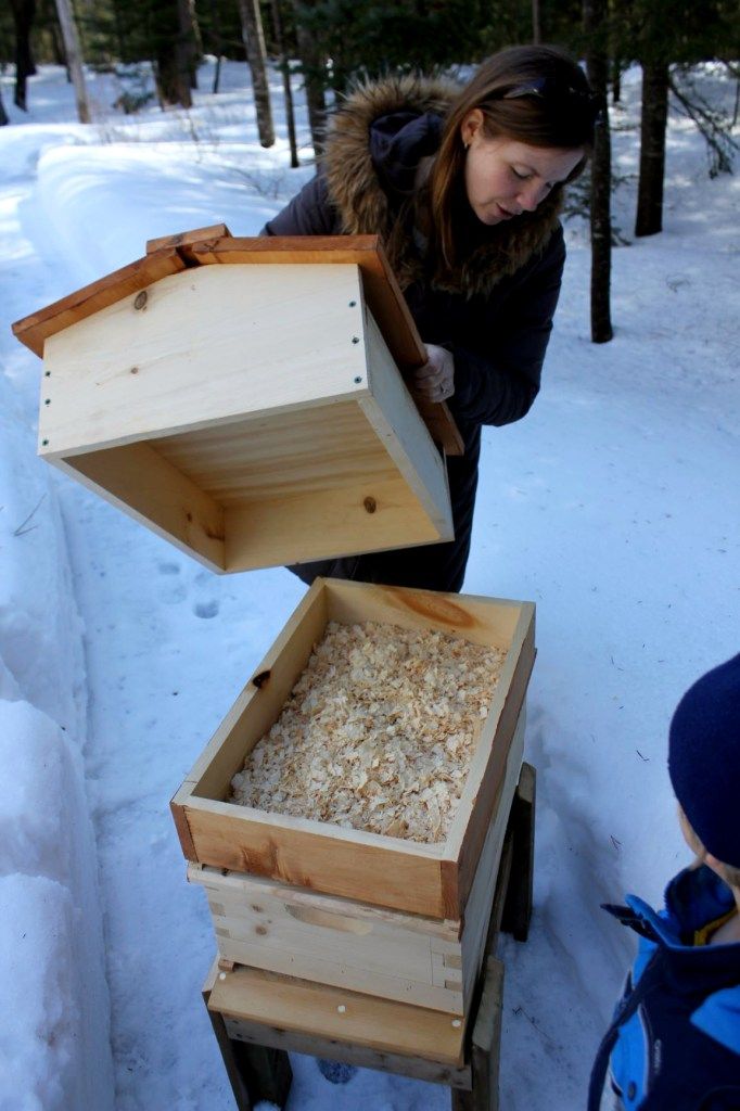 Behind Building a Beehive