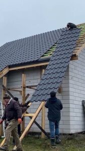The Structure, Process, and Significance of Metal Roof Installation