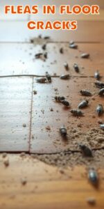 Natural Flea Repellent and Its Role in Home Environments