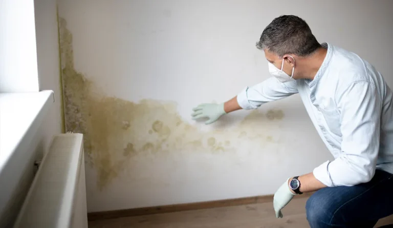 mold testing cost, mold inspection cost, how much does mold testing cost, how much does a mold inspection cost, cost of mold inspection, mold assessment cost, mold test price, mold evaluation cost, how much does it cost to test for mold, how much is a mold inspection, indoor mold testing, home mold inspection, mold inspection services, property mold assessment, damp and mold inspection, indoor air quality testing, moisture inspection, residential mold testing, commercial mold inspection, mold testing UK, mold inspection USA, environmental testing costs, building health inspection, mold risk assessment, hidden mold testing, air quality inspection, moisture damage assessment