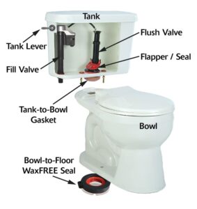 Understanding the Essential Parts of a Toilet Tank: A Complete Overview