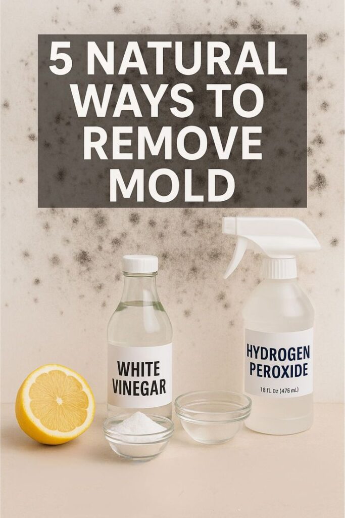 Vinegar to Get Rid of Mold: Effective Uses, Benefits, and Precautions