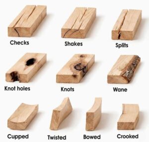 Poplar Wood: Characteristics, Uses, and Applications in Woodworking