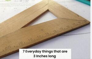 how big is an inch how big is 3 inches by 3 inches how long is 6 inches inch how long how big is 30 inches how big is 4 inches by 4 inches how long is 10cm how big inch 4 inches how long is and inch