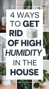 Increase Humidity in Your Home: Creating a More Comfortable Indoor Environment Throughout the Year