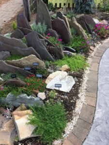 crevice gardens, crevice garden, crevice gardening, crevice garden images, rock gardens colorado, modern rock garden, rock crevices, alpine plants, rock garden plants, drought tolerant plants, sustainable landscaping, gravel garden, rock garden design, alpine garden, stone garden, xeriscaping, ornamental grasses, succulent garden, sedum plants, sempervivum, saxifraga, lewisia, thyme plants, lavender garden, botanical gardens, landscape design, low maintenance garden, water wise gardening, natural stone landscaping, mountain garden, garden inspiration, USA gardening, UK gardening, grow a garden initial release date, how to get twisted in grow a garden