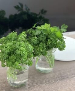Garden Parsley: Growing, Care, Season & Cold Tolerance