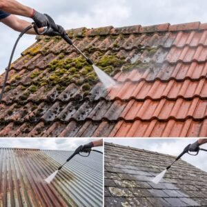 Roof Cleaning: Costs, Washing Methods, Services, and Maintenance Considerations
