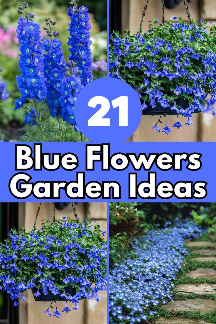 Blue Flowers: Names, Species, Types, and Beautiful Blue-and-White Blooms