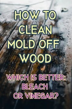 remove fungus from wood, how to get mold off wood, how to get mold out of wood, cleaning up mold on wood, treating mold on wood, how to remove mold from wood furniture, clean mold off wood, how to get mold off wood furniture, how do i get mold off of wood, cleaning mildew off wood, wood mold removal, mold on wood, mildew on wood, mold removal, wood furniture mold, wooden furniture cleaning, mold cleaning, mold treatment, mildew removal, mold prevention