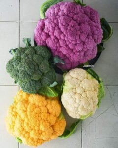 Cauliflower: Types, Varieties, Colors, and Plant Characteristics