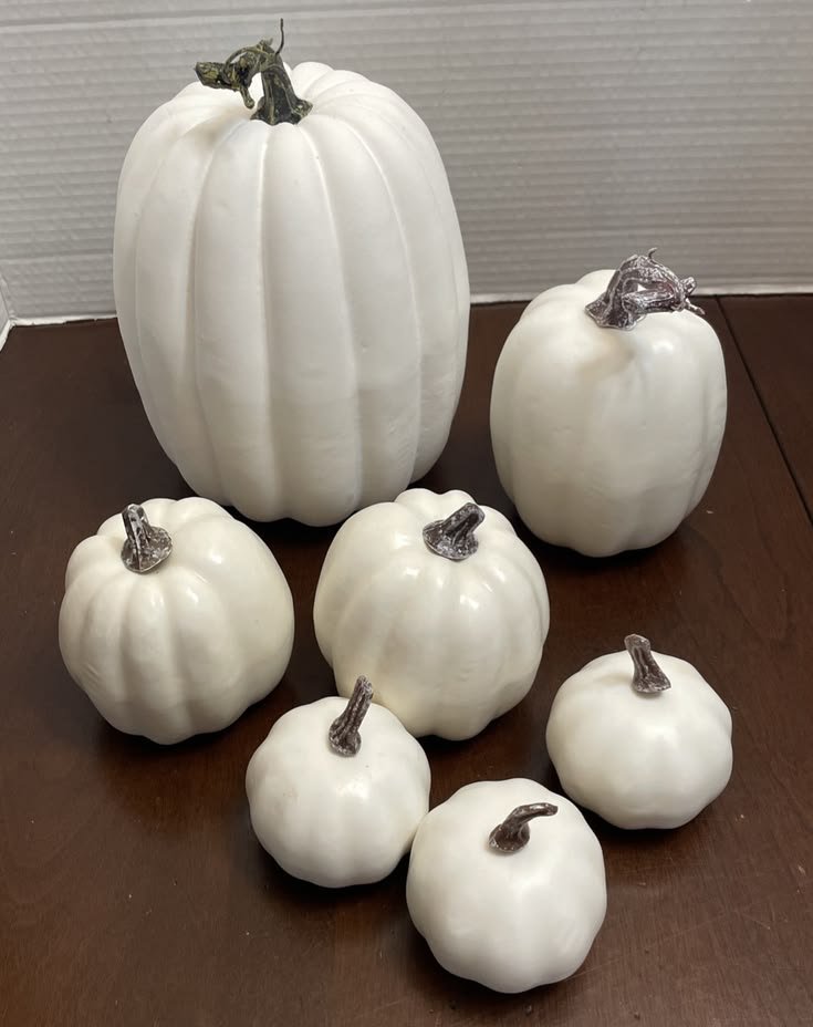 white pumpkin white pumpkins white ghost pumpkin