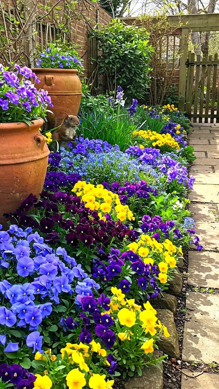 Are Pansies Perennials? Understanding Their Life Cycle and Growing Habits
